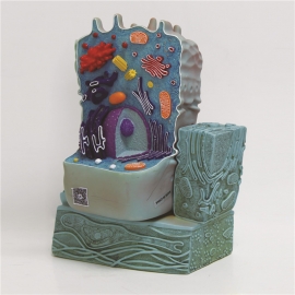 School Lab Animal Cell Model